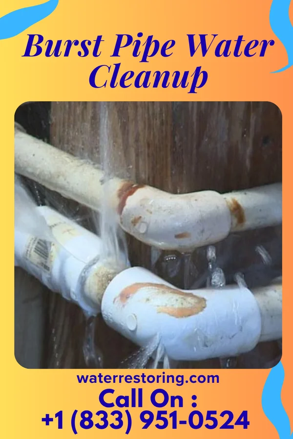 Burst Pipe Water Cleanup in Childersburg, AL