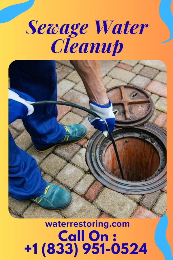 Sewage Water Cleanup in Childersburg, AL